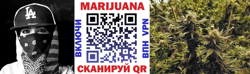 Марихуана план  сайты даркнета какой сайт  Кудрово 